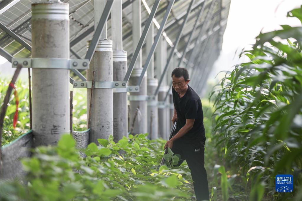 能申请跳槽彩金的网站